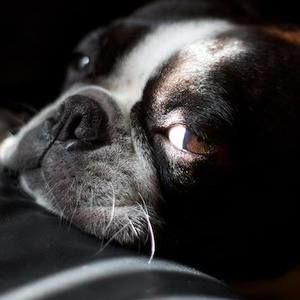 Meet your Posher, Scott